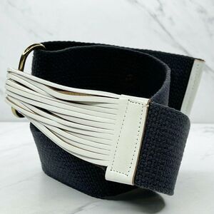 Blue and White Wide Strappy Web Post Belt Size Small S Womens